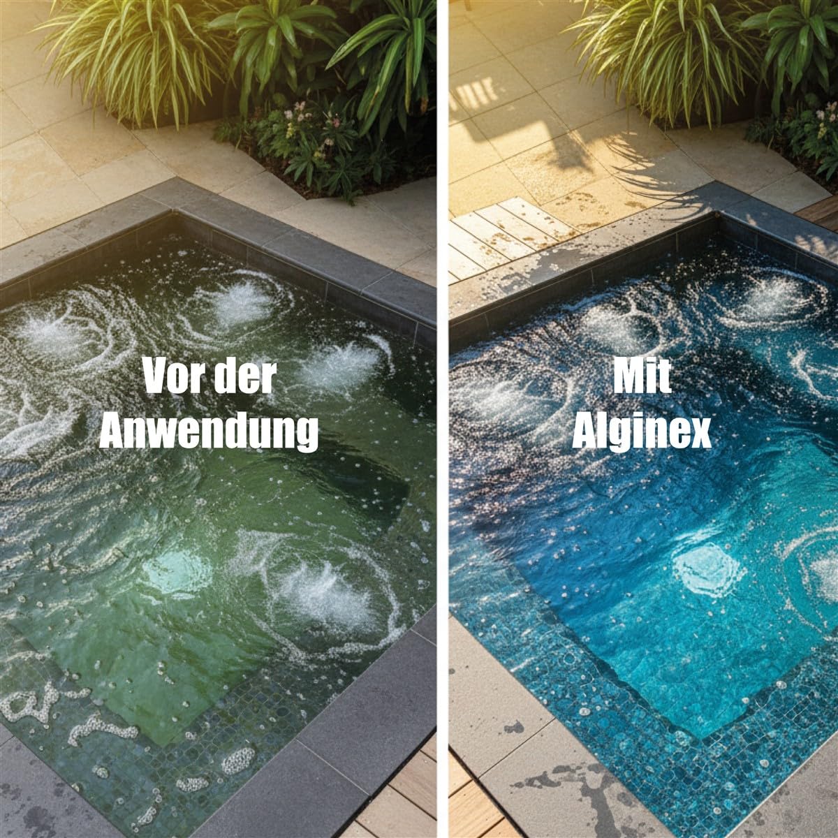 Alginex Algenschutzmittel 2x 500 ml für Whirlpools, Algenvorbeugung & -bekämpfung