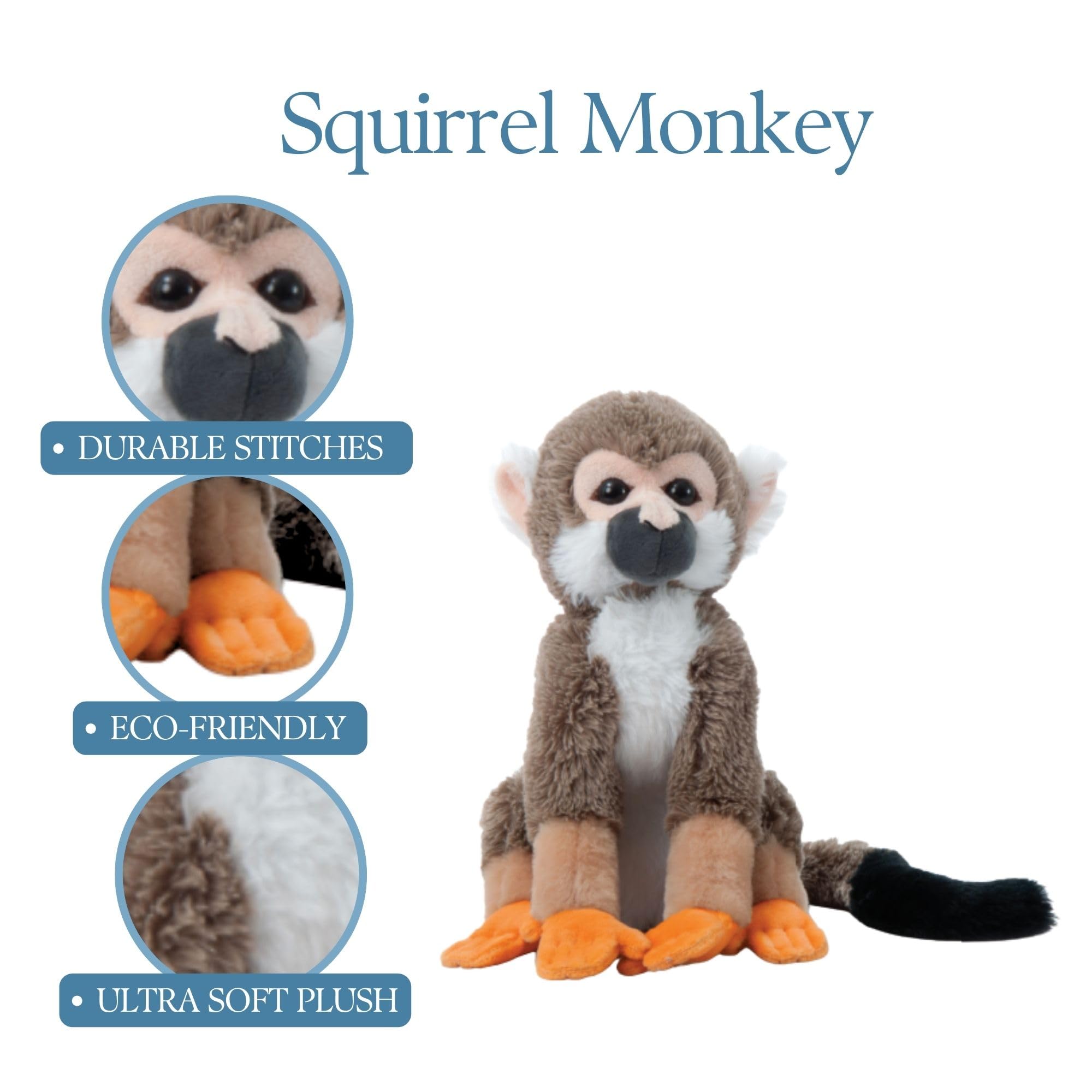 モグ・タカハシ「SQUIRREL」 #Fine Little Day ☆【在庫限り】モグ・タカハシ「SQUIRREL」#Fine Little Day