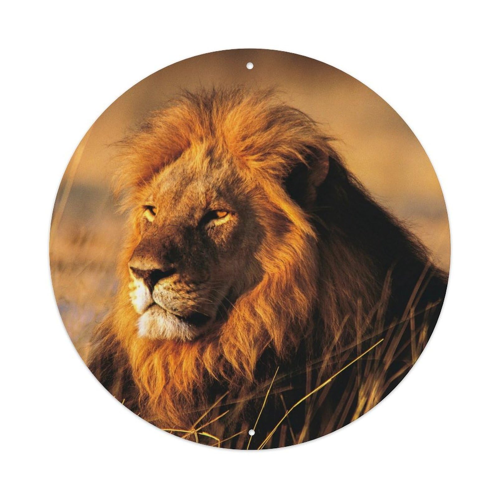 Lion Grassland Wildlife Savanna Classic Vintage Metal Tin Sign