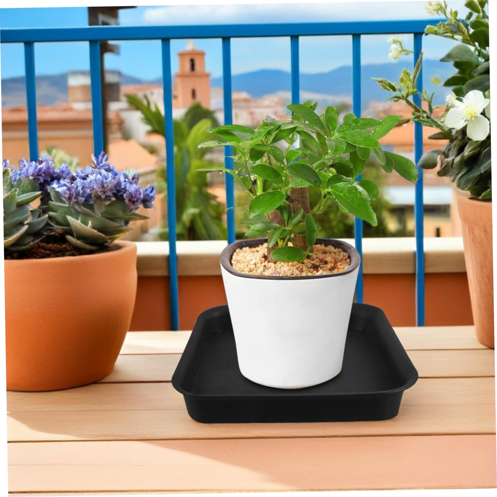 TOYANDONA Bandejas de Goteo para Macetas de Plástico Negro 4 Platillos Cuadrados Estructura Reforzada y Acabado Mate para Plantas en Balcones y Salones