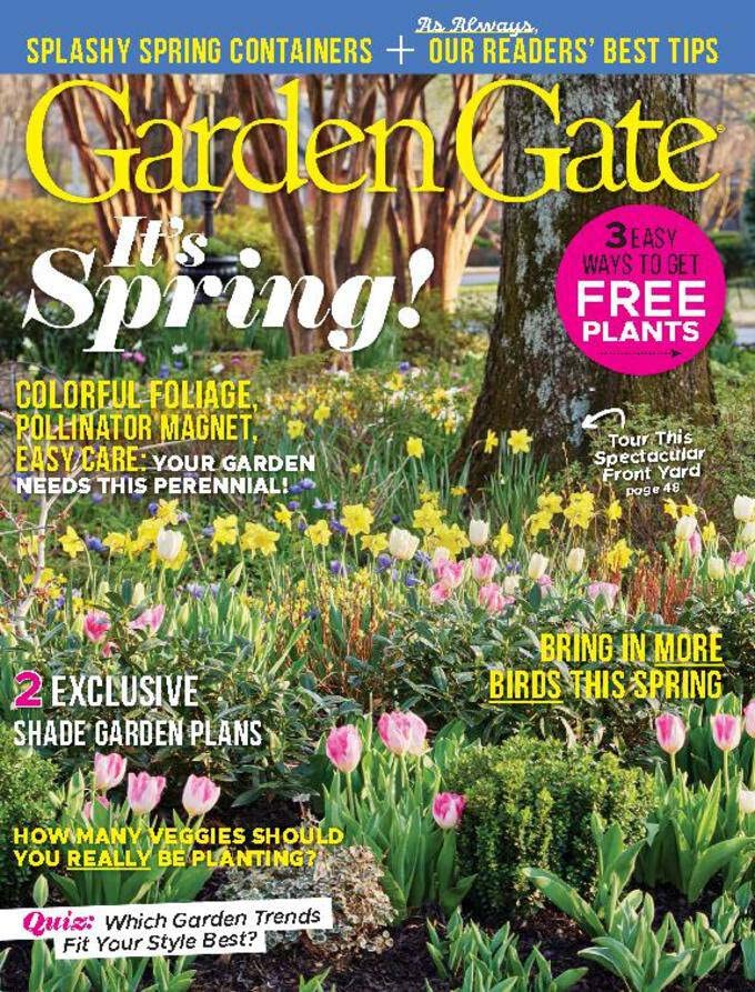 Best How To Plant Flowers For Dummies 2023 Where to Buy?