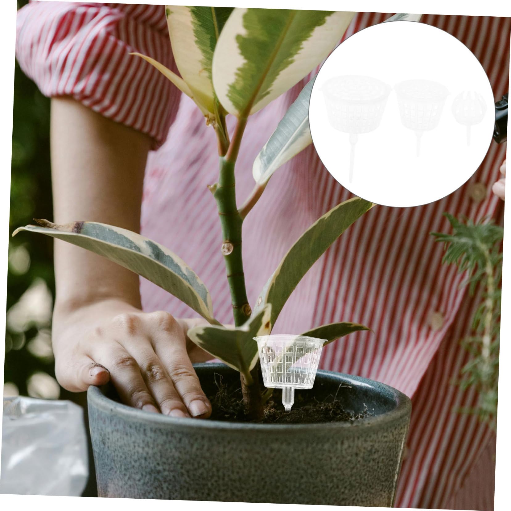 Toyvian 15 Pièces Boîtes de Fertilisation Plastique pour Plantes Bonsai Bacs avec Couvercle Outils de Jardinage Pratiques et Réutilisables