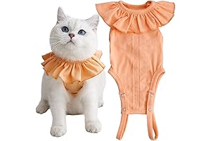 Kitten After Surgery Recovery Suit for Female Abdominal Wounds and Skin Diseases
