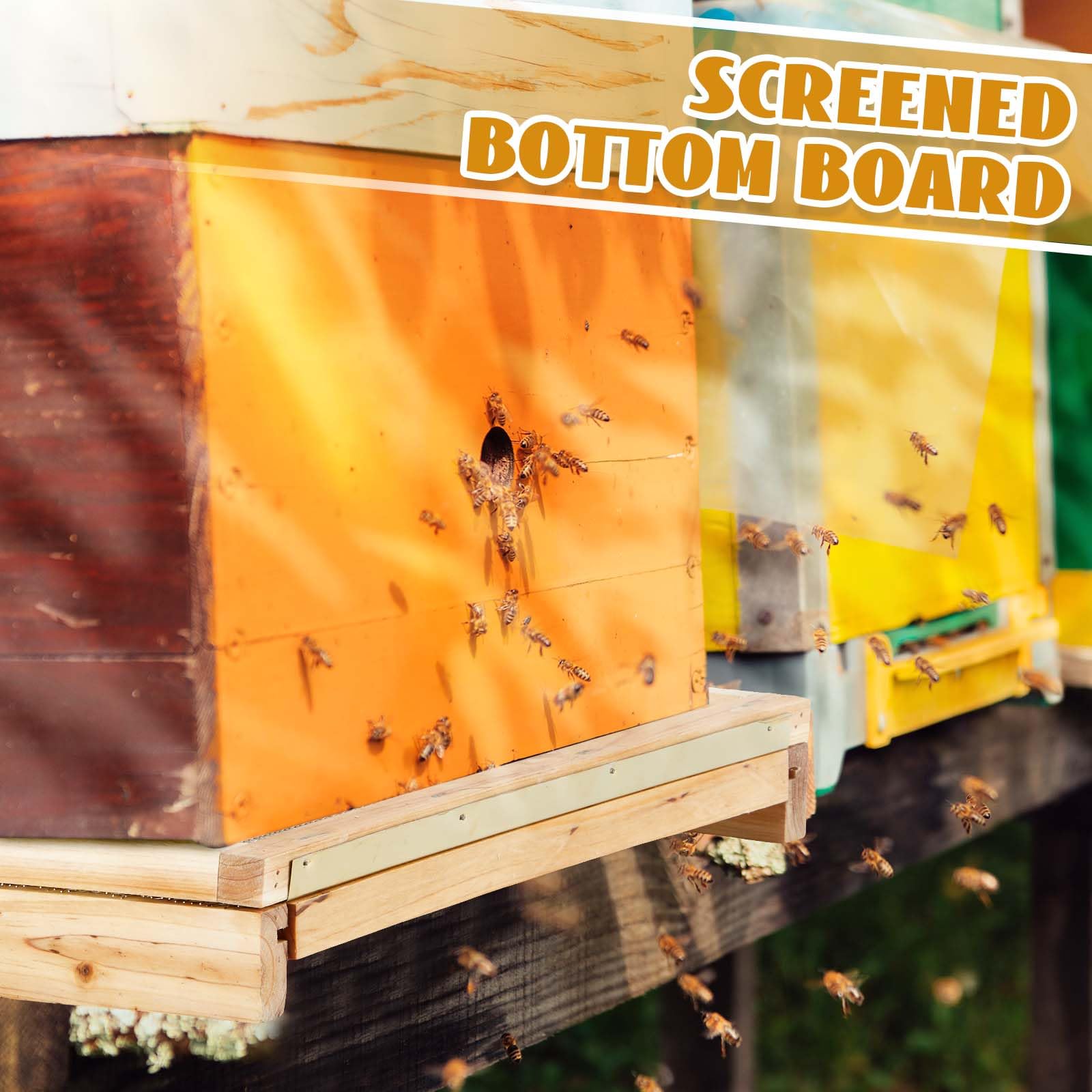 Juexica Panneau inférieur de ruche trempé dans de la cire d'abeille avec réducteur d'entrée pour fournitures d'apiculture d'été (8 cadres)