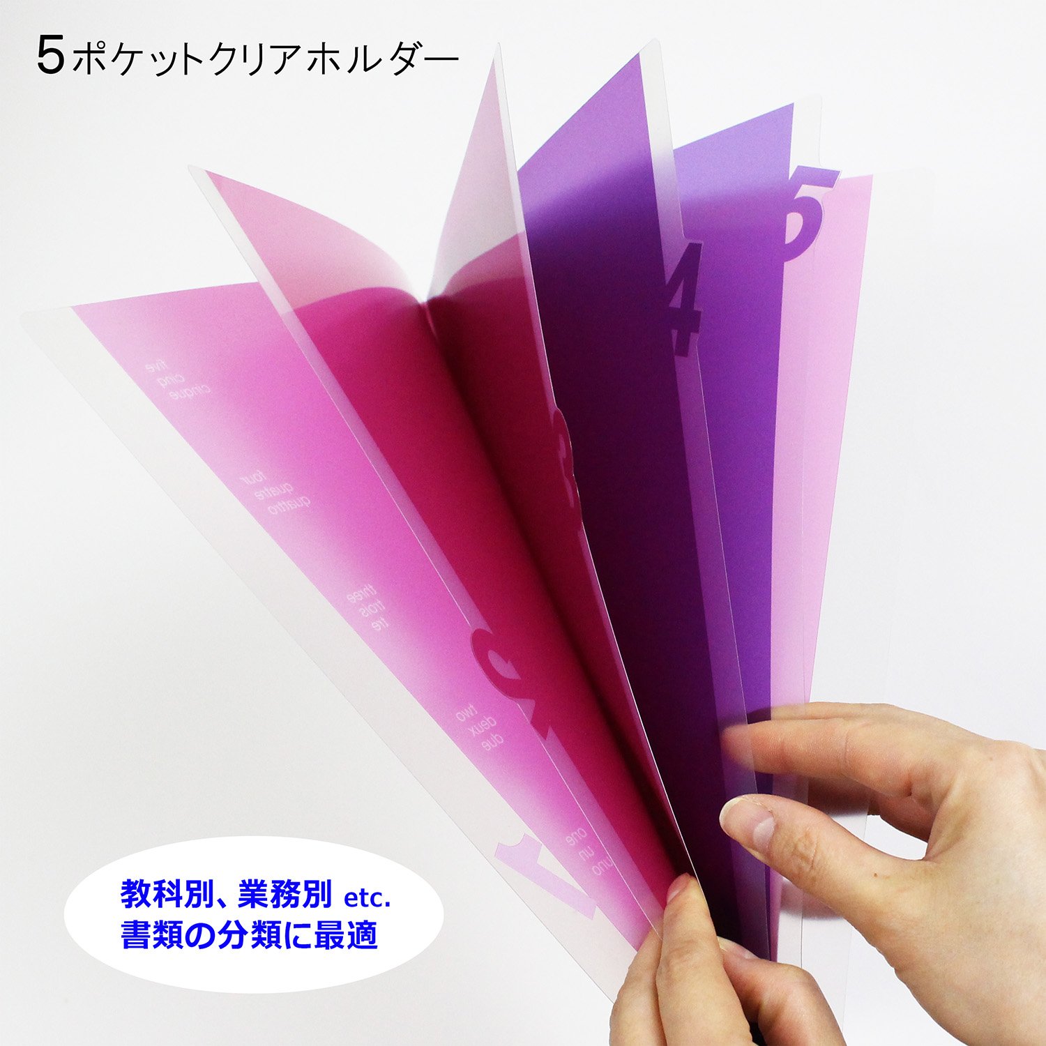 Amazon | ミドリ クリアファイル 5ポケット クリアホルダー A4