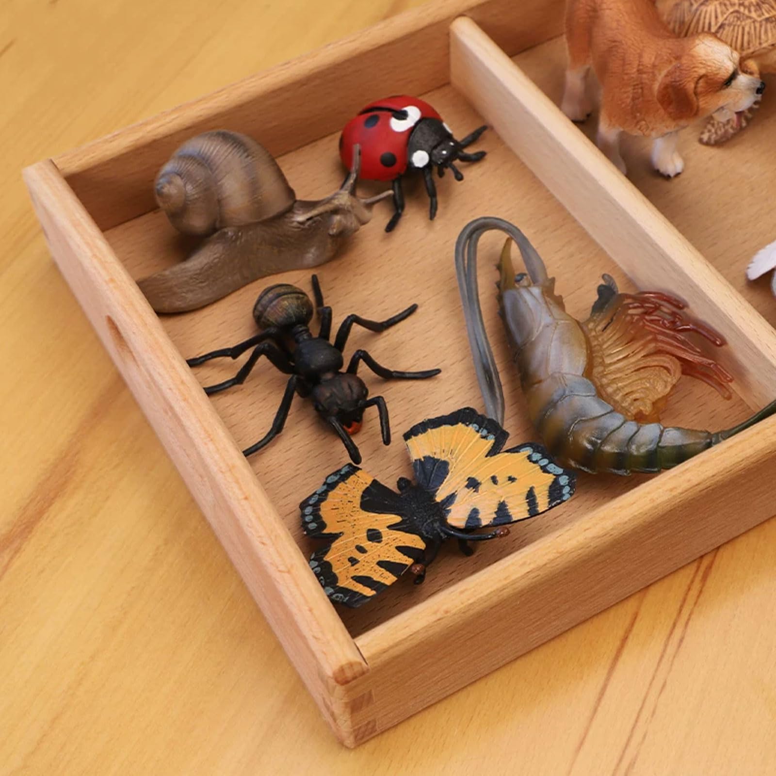 Zestaw Montessori Zoologii Klasyfikacji Zwierząt