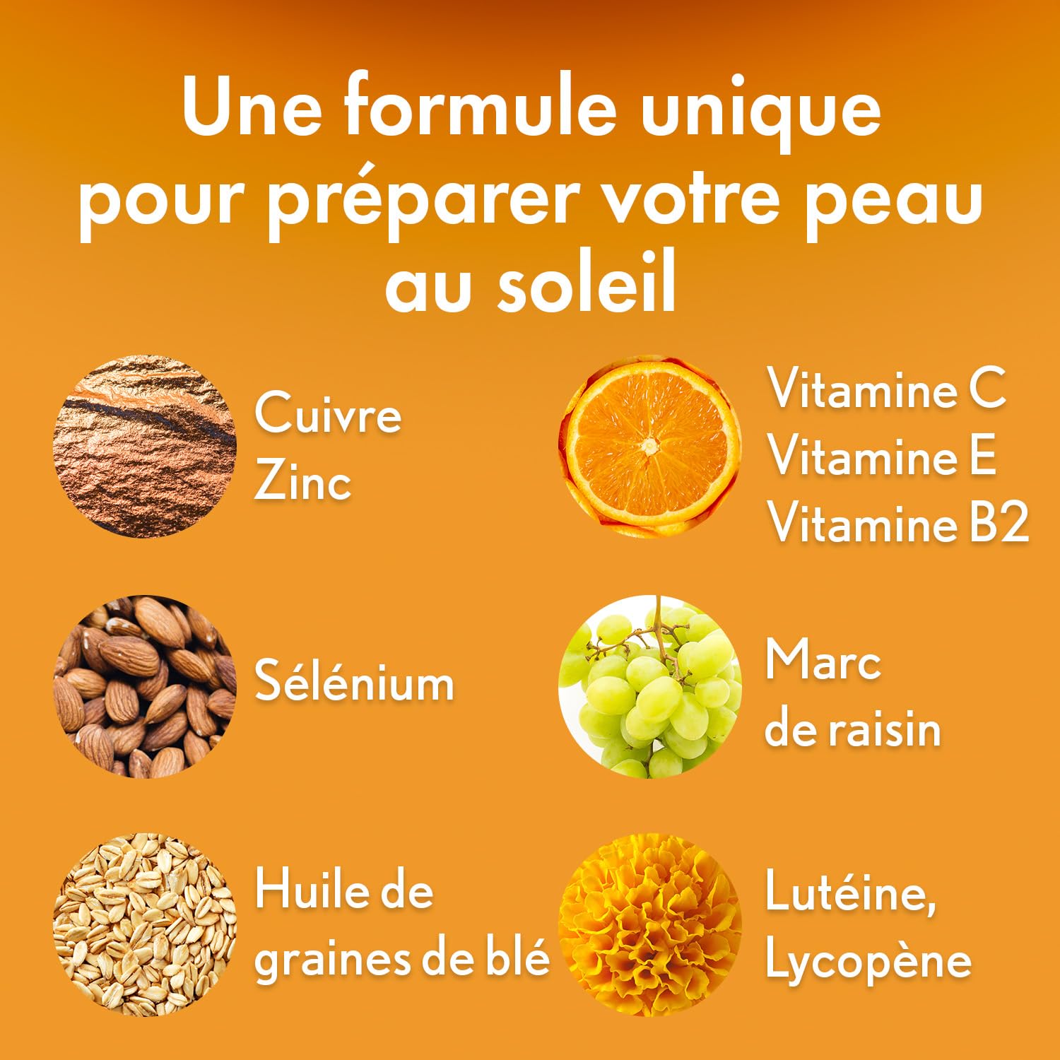 Oenobiol Sun Expert Préparateur Solaire 3-en-1 - Triple Action - Protection Cellulaire - Hâle Intense - Anti-Âge Global - Prouvé Cliniquement - Complément Alimentaire - 2 x 30 Capsules Végétales