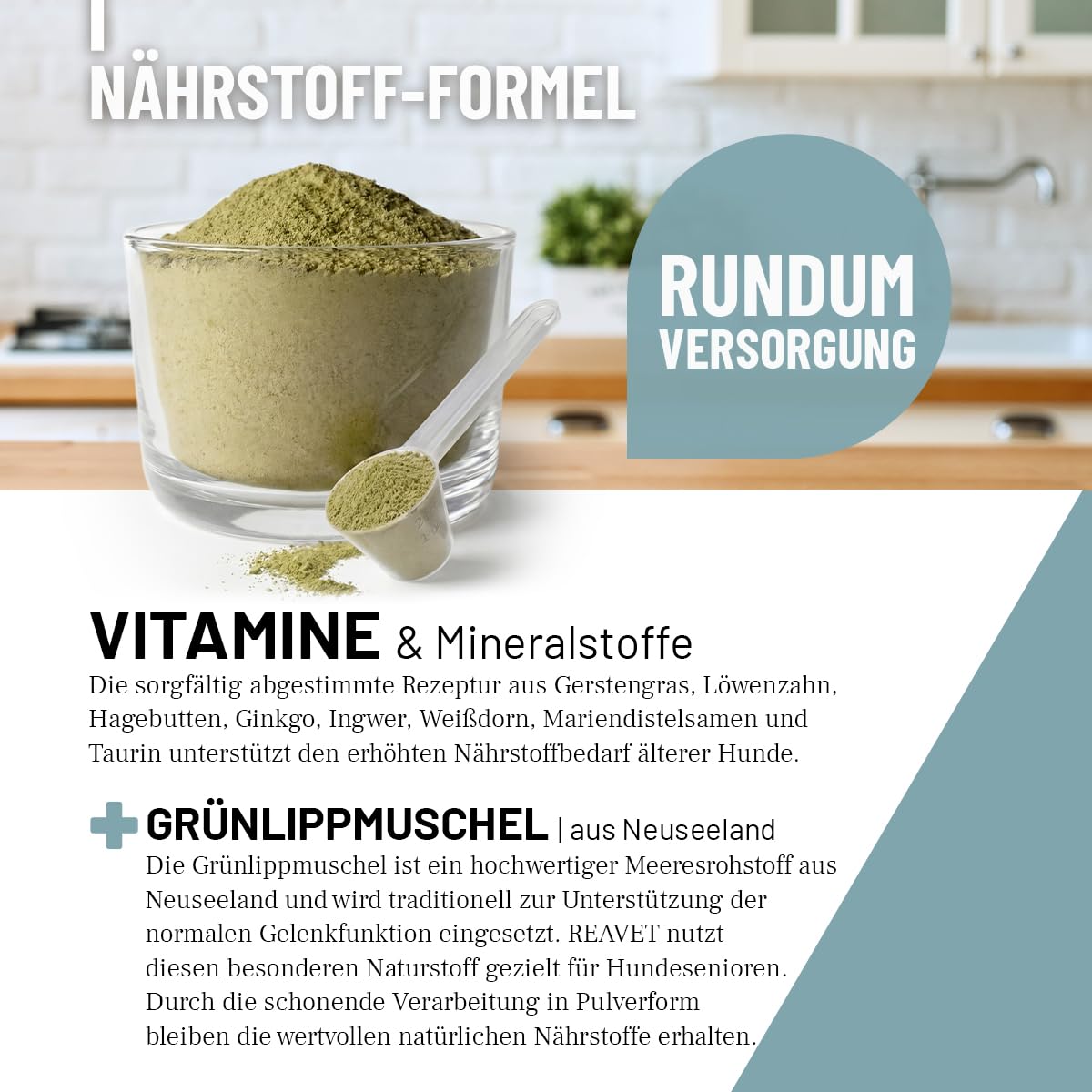 ReaVET Senior Complete Pulver für ältere Hunde, Seniorenhunde – zur Unterstützung von Gedächtnis- & Herzfunktion, mit Grünlippmuschel & Taurin für Beweglichkeit & Vitalität im Alter I 250g