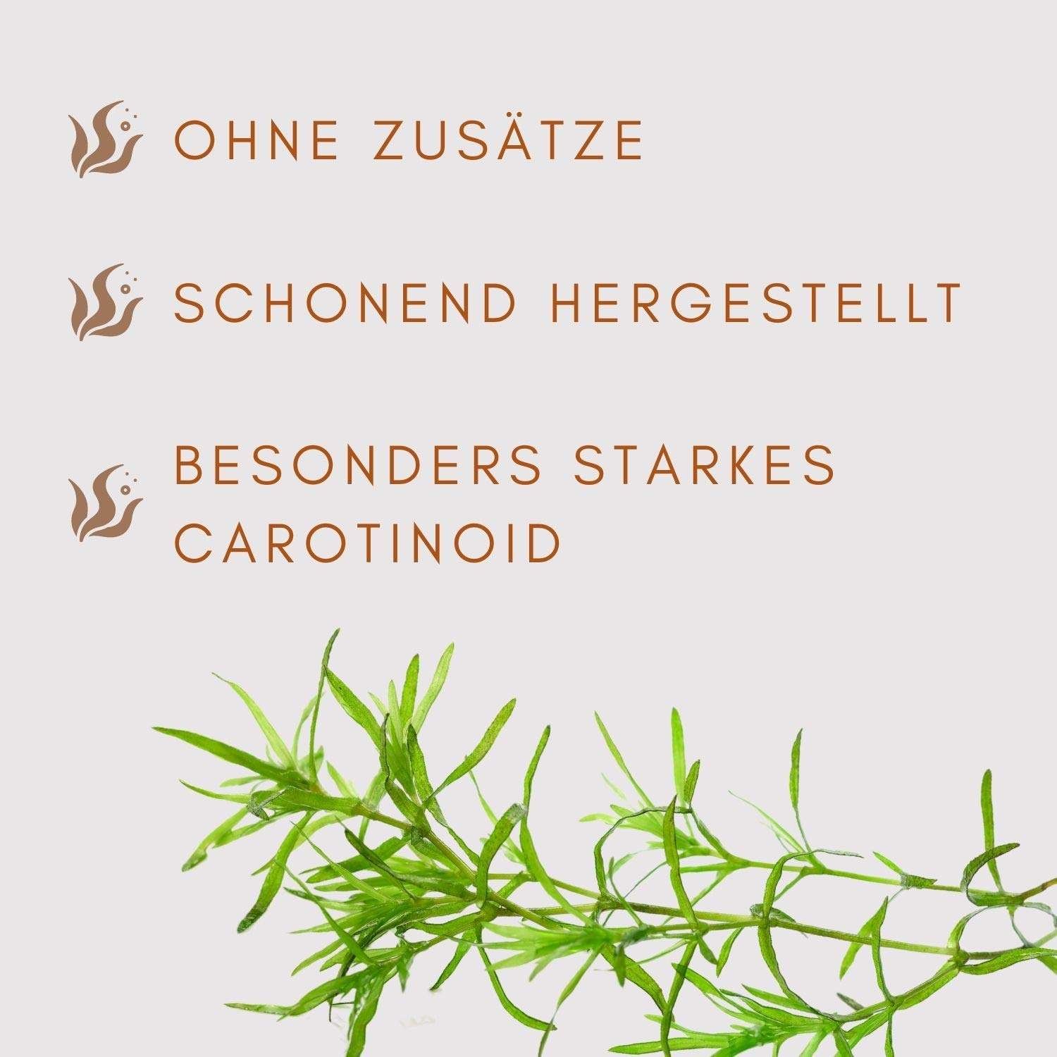 VitalAstin Astaxanthin 600 Kapseln I Das Original - Ivarssons VitalAstin mit 4 mg natürlichem Astaxanthin