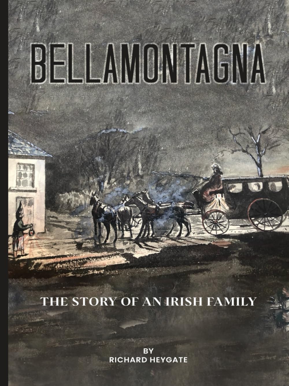 BELLAMONTAGNA: The story of an Irish family