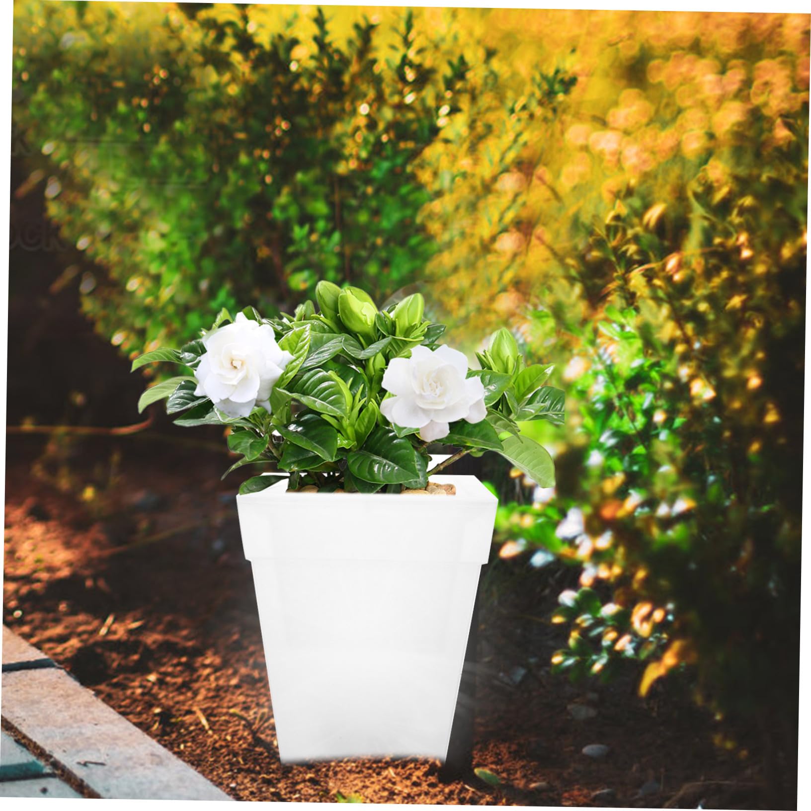 LALAFINA Lampada Fioriera Solare Bianca da Giardino 4 LED e Plastico | Decorazione Luminosa Realistica, per Piante e Cortili, Ip44, 1, 2v 300mah, per Feste All'aperto