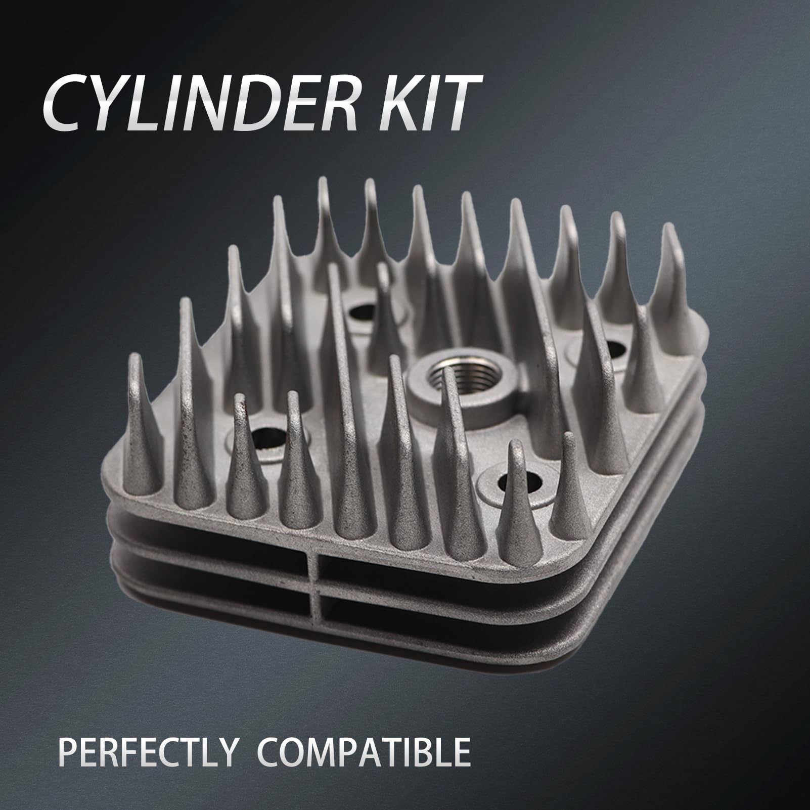 Kit Cilindro Gruppo termico DR Evolution 70cc D.48 Piggio AC ARIA SP.12 GHISA en fundición refrigerado por aire para motores Piggio Gilera 6 transferencias con escape elíptico y cabeza