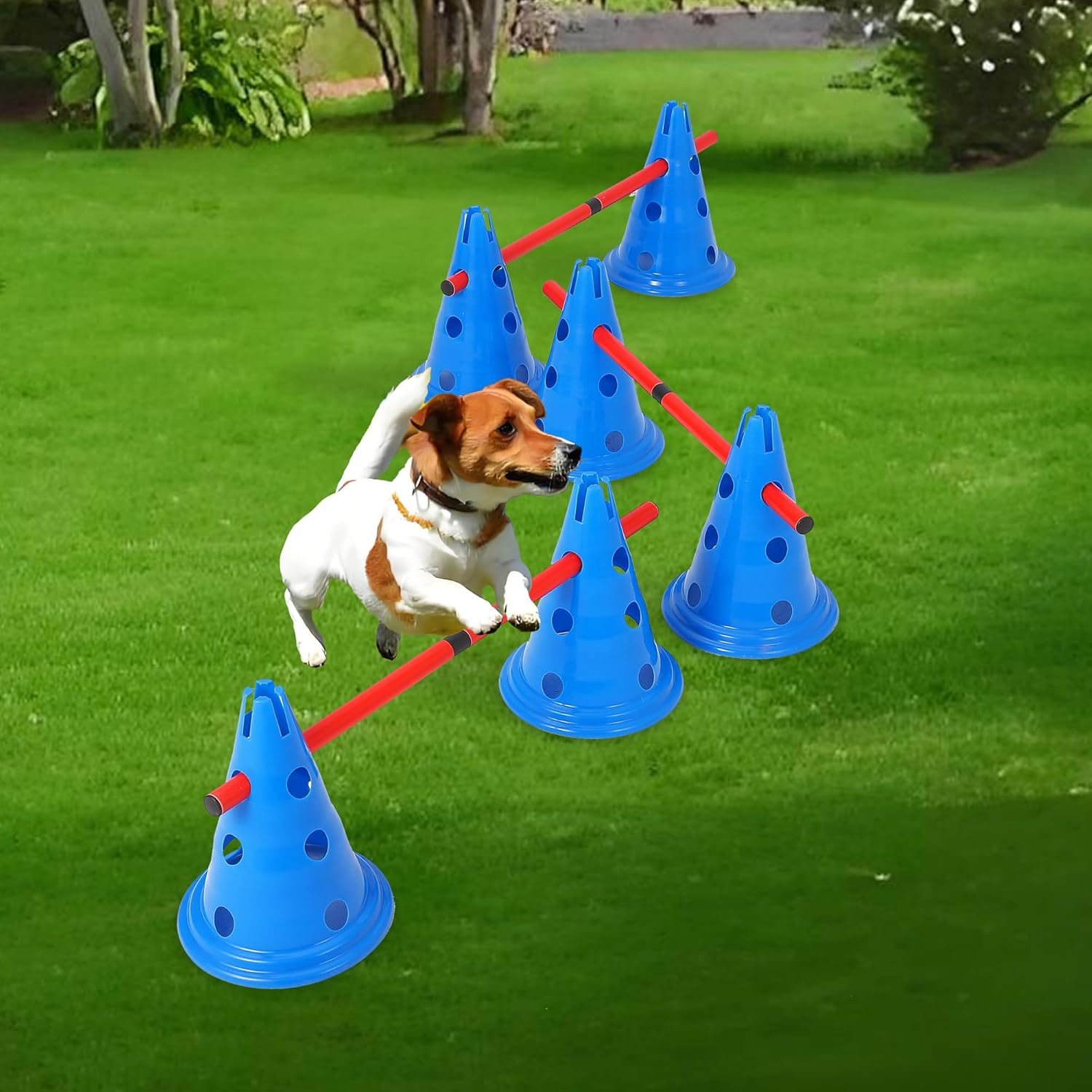 Portable Dog Agility Equipment - Adjustable Hurdle Cones, Rods, 70" Tunnel, Jump Ring, Weave Poles, Adjustable Hoop, Treat Pouch, Pause Box, Storage Bag - for Puppies & Adult Dogs,35pcs