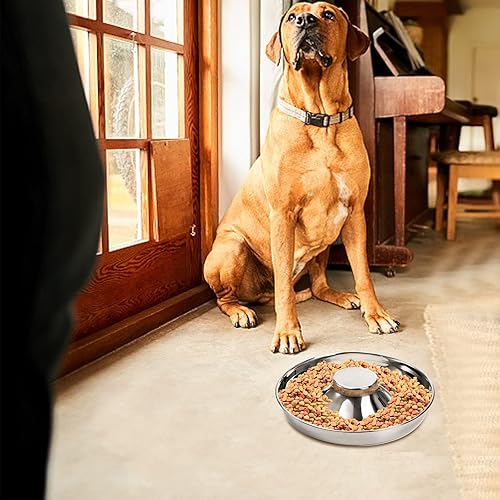 Miniatura 6 de SOUJOY Paquete de 2 cuencos de acero inoxidable para cachorros, cuencos de alimentación lenta para mascotas, tazón antideslizante para alimentos y