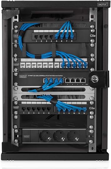 Digitus cable management panel - 10-inch - 1U - 3 cable guides - For patch cables in the network cabinet - Black