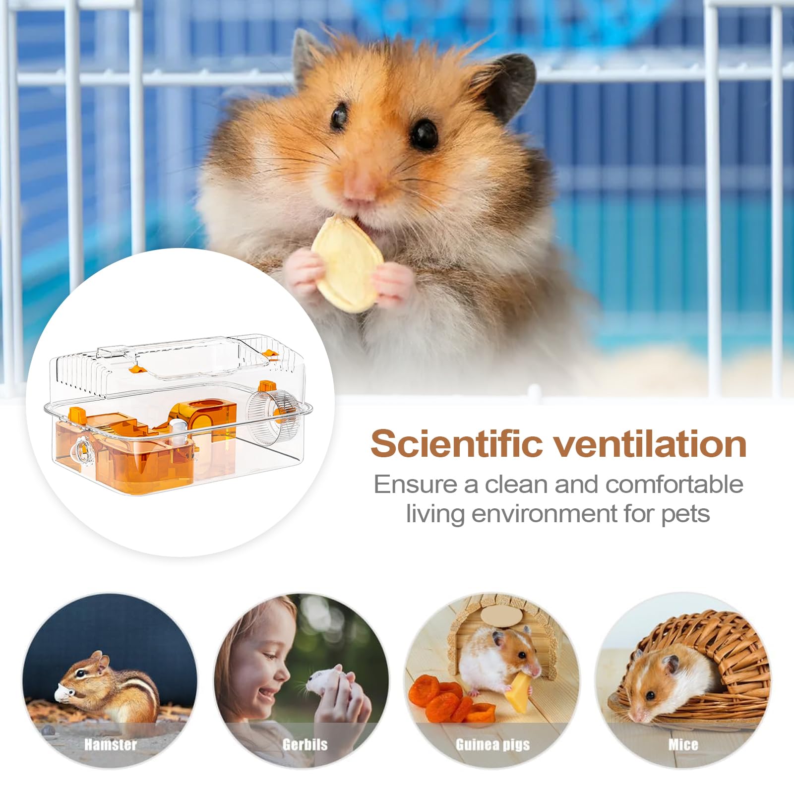Gabbia per Criceti con Ruota Girevole e Trasparenti | Box per Lettiera e Habitat per Topi per Piccoli Animali Domestici come Criceti Nani, Topi Siriani e Coniglietti, per Casa, ,