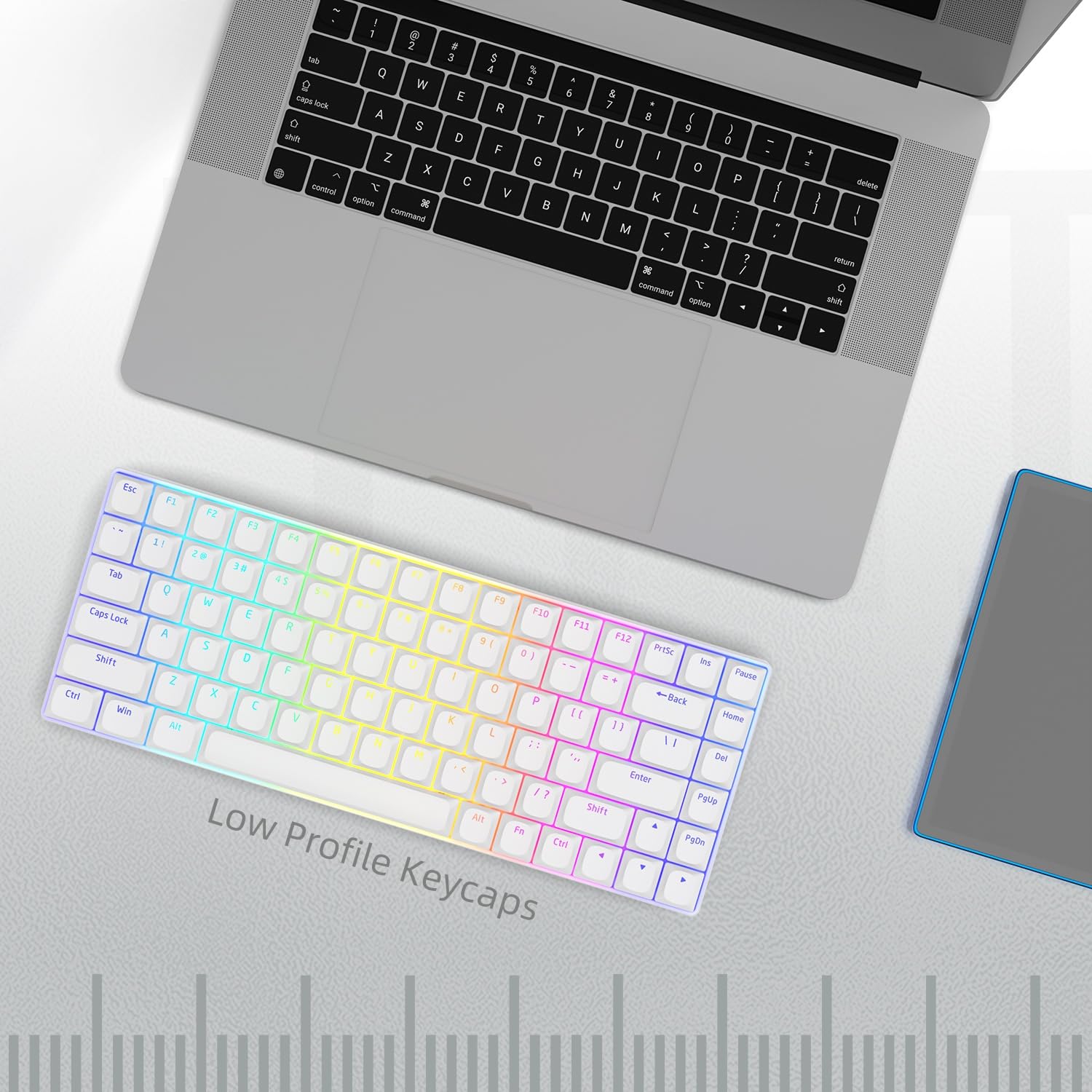 118 Tasti a basso profilo, Keycaps Copritasti Shine Through, Copritasti a grandezza naturale ANSI US al 75% per 60% 65% 75% 80% 100% Cherry Gateron MX Switch Tastiera meccanica, Bianca