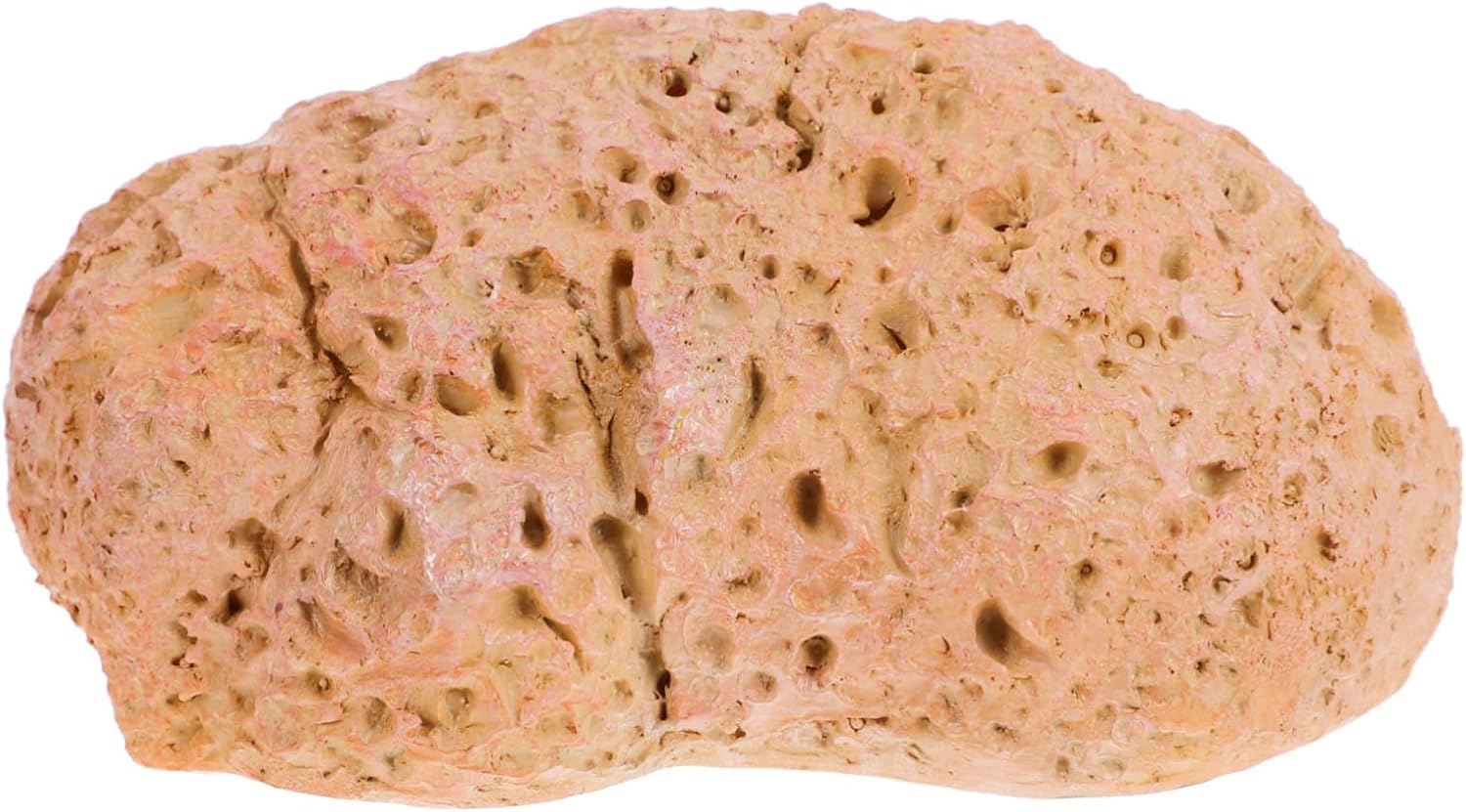 BESPORTBLE 4pcs Outdoor Hidden Key Hider Stone Decorative Garden Fake Rock for Concealed Key Storage Design outside Stylish Stone