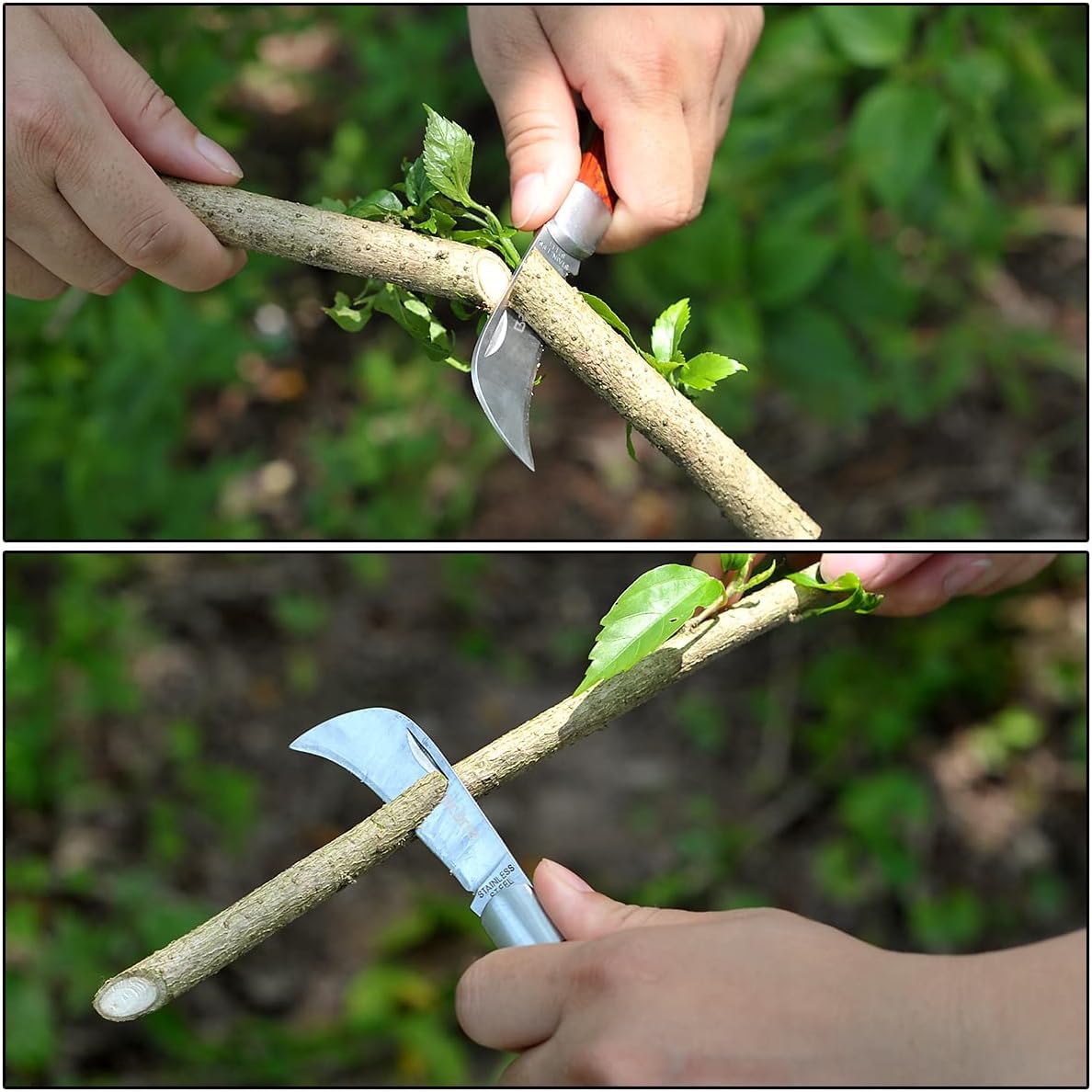 Coltello da Innesto Pieghevole per Giardinaggio con Lama in Acciaio Inox Affilata | Manico Ergonomico in Legno | Strumento da Potatura e Cura Piante | Tascabile, Compatto, Professionale