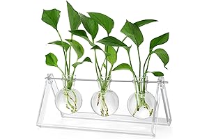ClearPlantStand: 2024 UPGRADED Plant Terrarium with Clear Acrylic Stand