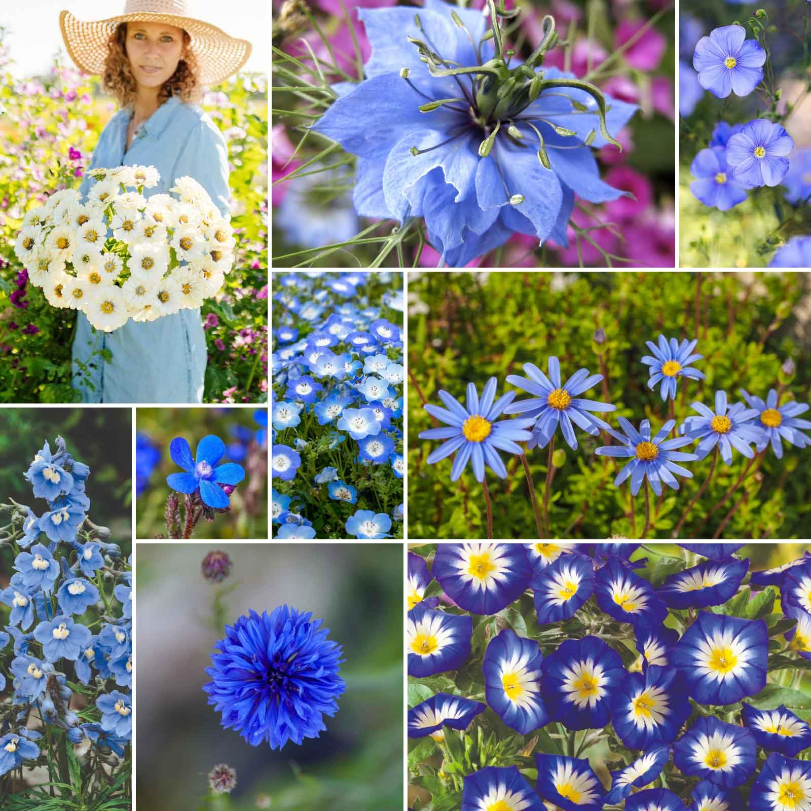 Eden Brothers Blue Ribbon Mixed Seeds