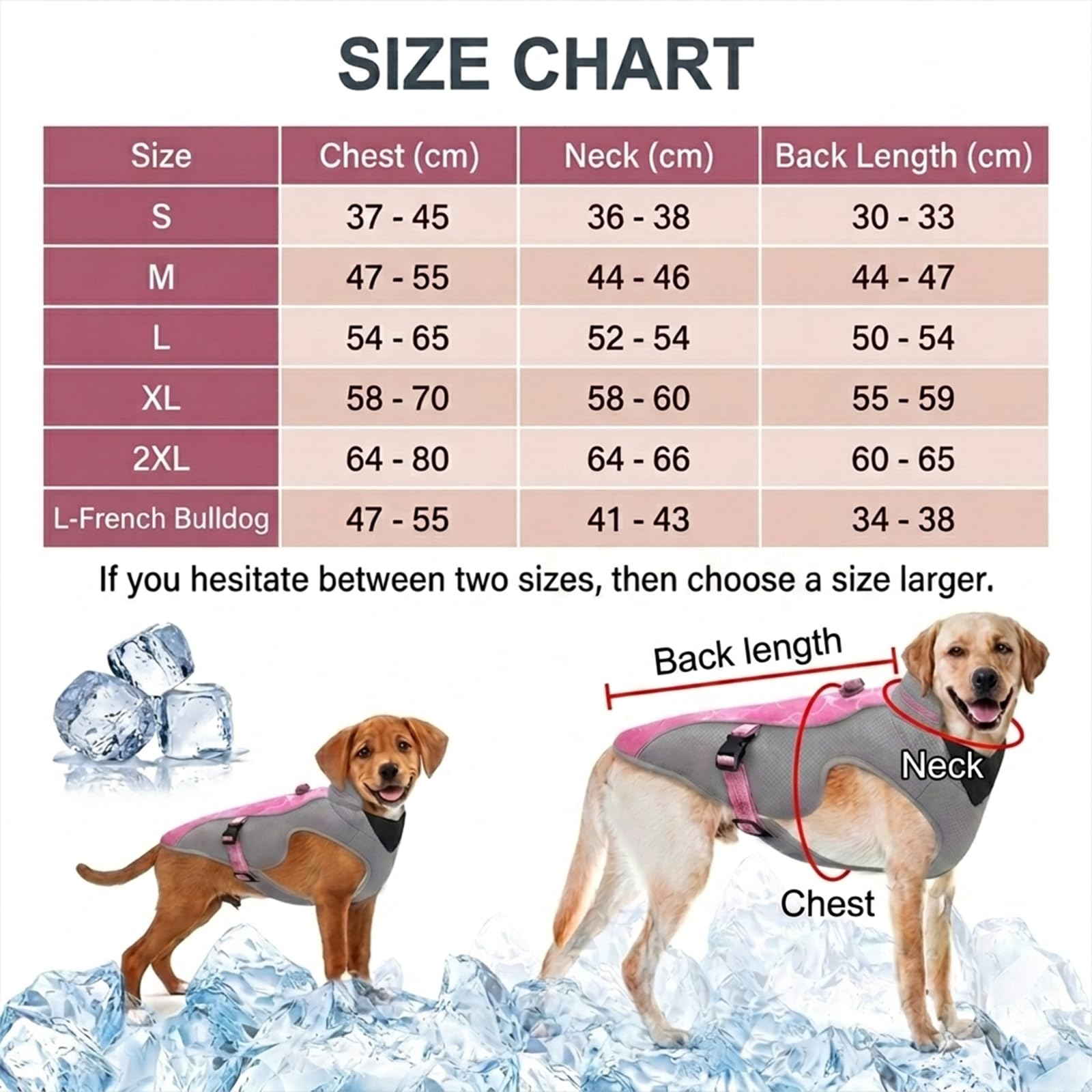 Chaleco Refrescante para Perro con Arnés D-Snap, Protección Solar - Tiras Reflectantes, Correas Ajustables, Malla Transpirable - Abrigo Deportivo Refrescante para Perros Pequeños Medianos Grandes