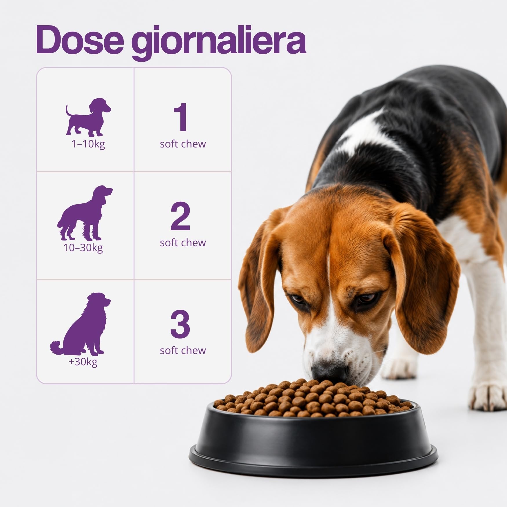Probiotici Per Cani 60 Bocconcini 180g Prebiotici Cane 5 Miliardi CFU per Benessere Intestinale, Digestione, Diarrea Cane Probiotico Digestivo Cani Integratore Naturale Con Inulina, Zucca E Spirulina