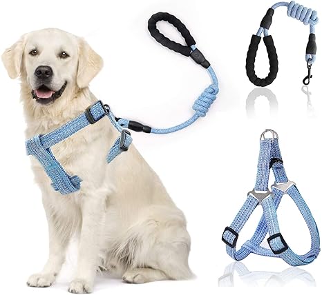 hk dog harness