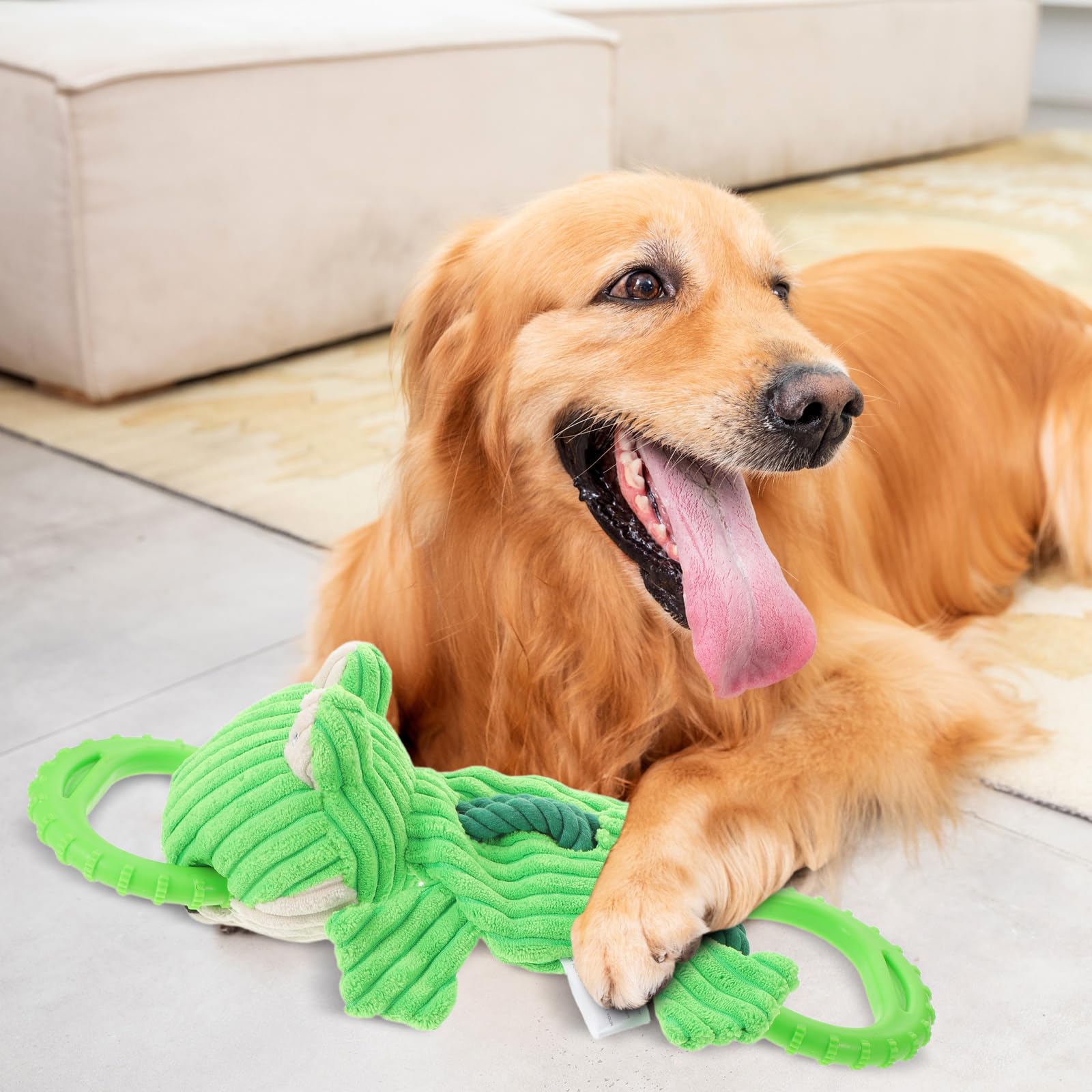 TOYANDONA Juguete para Perros de Peluche en Forma de Rana Cuerda Resistente para Tirar, Diseño Duradero y Mejora la Fuerza Mandibular, Adecuado para Entrenamiento y Juego