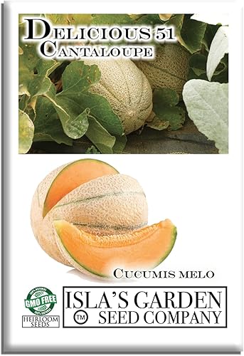 Deliciosas semillas de melón de 51 pulgadas para plantar, más de 50 semillas de melón tradicionales por paquete, semillas de jardín de Isla