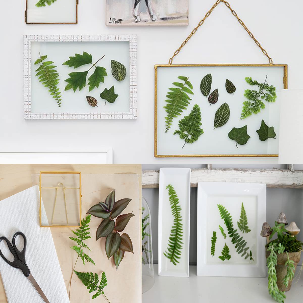 85PCS Real Dried Pressed Leaf Leaves - Image 4