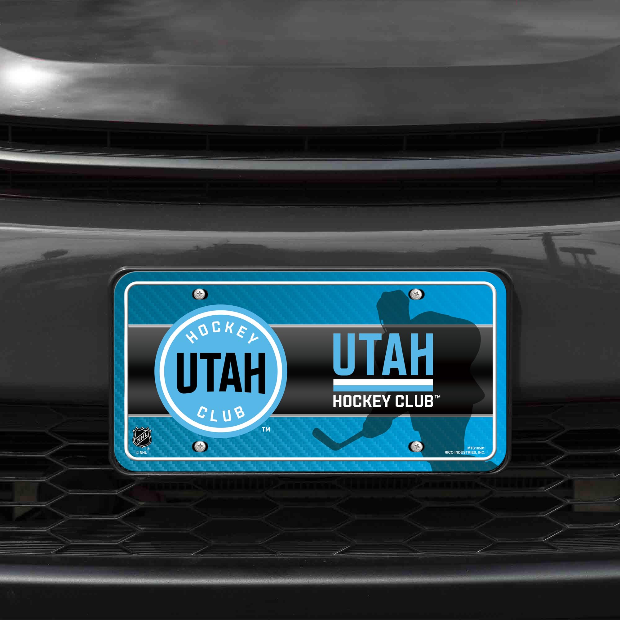 'Rico Industries NHL Hockey Metal Auto Tag 6'' x 12'' - Great for Truck/Car/SUV'