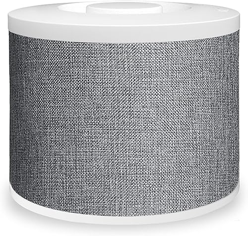 Purificador de aire Filtro Repacement