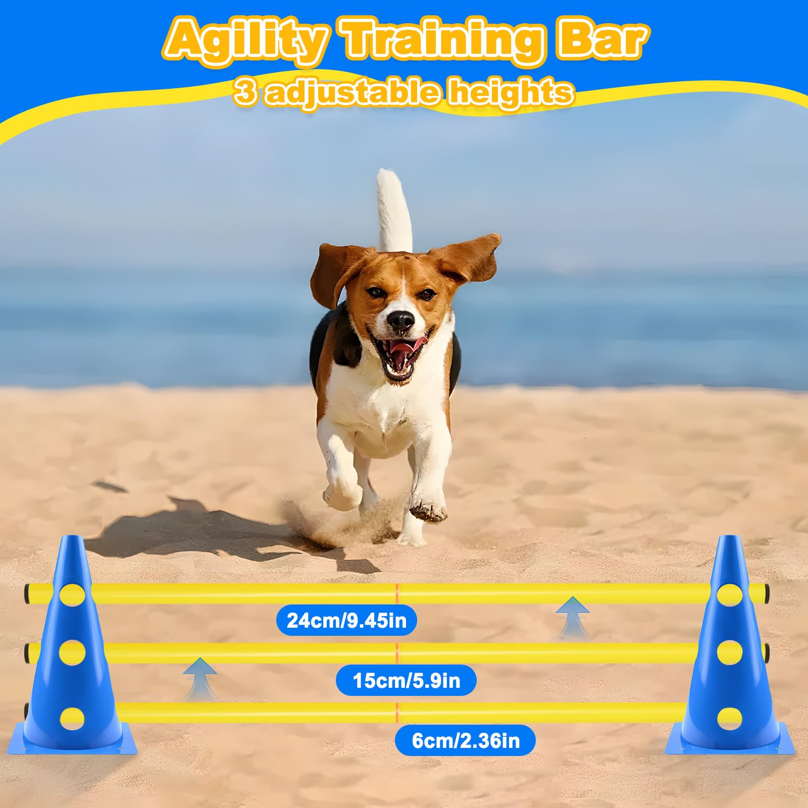Hunde Agility Set mit mit 8 Kegel + 4 80cm Slalomstangen, Einstellbare Agility Koordinationstraining Erziehungshilfen, Steckhürden Kegel Trainingshürden für Fußball Hundesport, Pferdesport