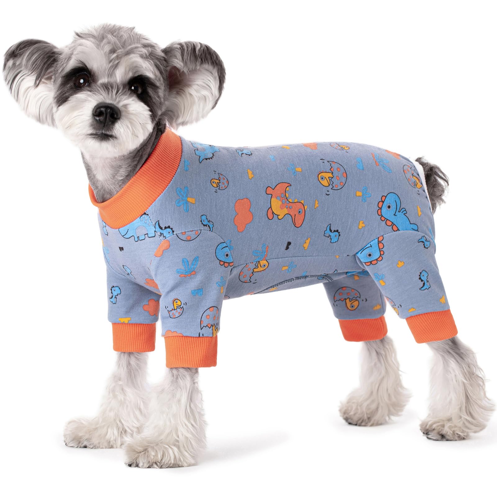 Dog Surgery Recovery Suit for Small Dogs, Four-Leg Long Sleeve