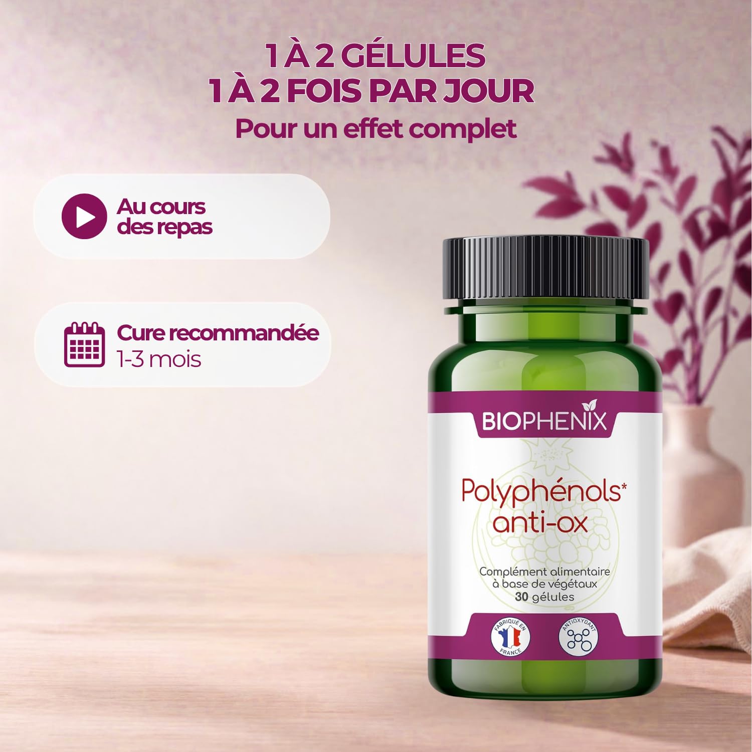 Biophénix - Polyphénols Anti-Ox 30 Gélules - Complément 100% Naturel à Base de Végétaux - Antioxydant, Anti-Inflammatoire,Anti-Vieillissement Vitamine E - Fabriqué en France - 2 Gélules/Jour