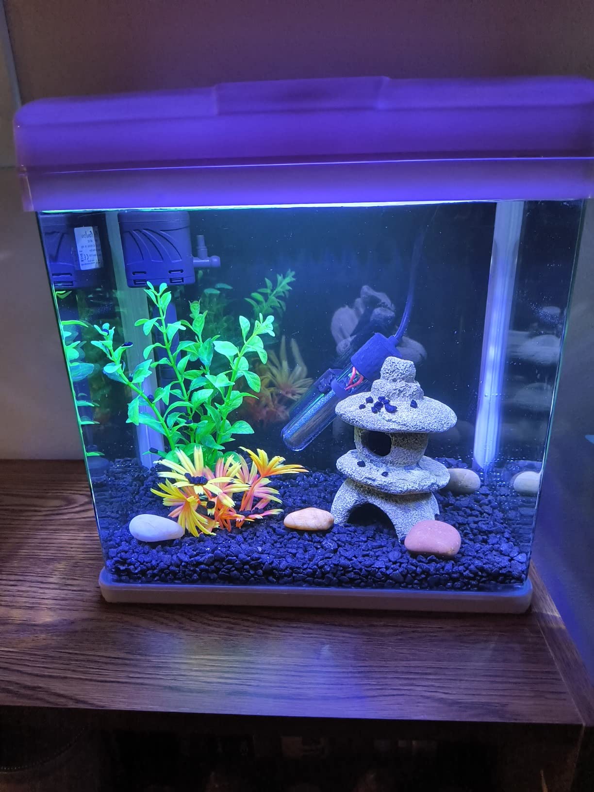 9/mo Finance PONDON Fish Tank, 3 Gallon Glass Aquarium with Air Pump