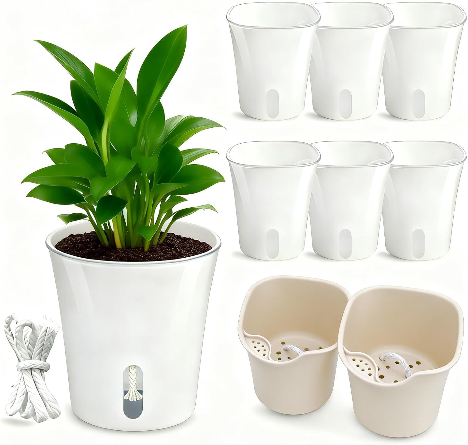 8 Pack 4" Mini Self Watering Pots for Indoor Plants, Small Clear Plastic Planters, Plant Watering Cups with Level Indicator Vents & Drainage Holes, Wick, for Seedlings, Cuttings, Herbs (8, 4 Inch)