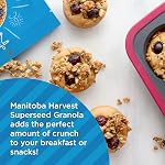 Manitoba Harvest Hemp Yeah! Granola, bleuets, 283 g, avec 21 g de protéines, 5 g Omégas, 3 g de fibres et < 10 g Sucre par portion, biologique, non-OGM, emballage mai vary