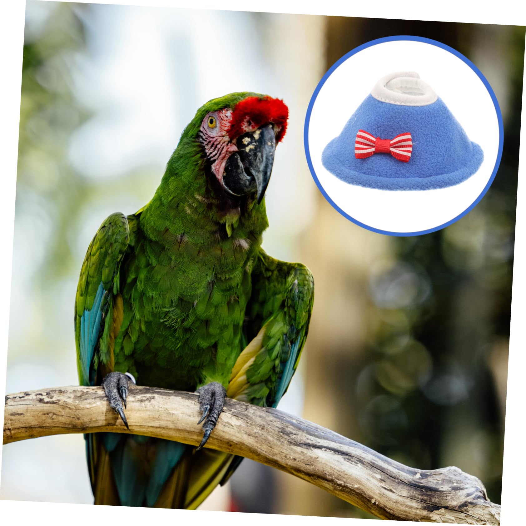 TOGEVAL Bird Collar Parrot Collar Stylish Neck Cover for Pet Birds Protects Against Pecking Wounds Easy to Use