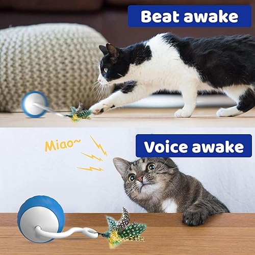 Miniatura 3 de Juguete interactivo para gatos, juguetes rápidos y automáticos con luces LED arcoíris, juguetes inteligentes para gatos con sonidos y activación