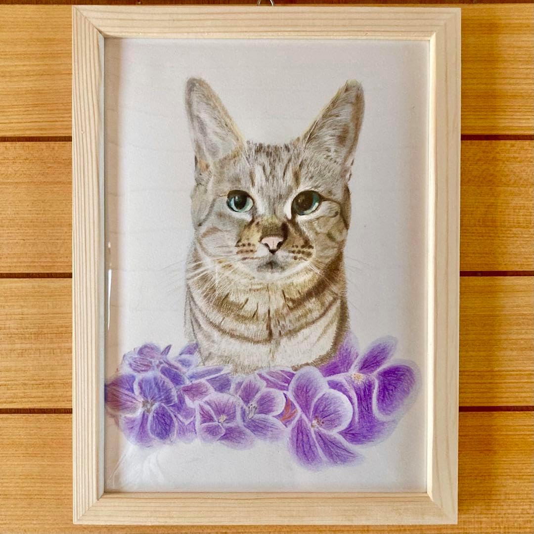 色鉛筆画 キジトラ猫