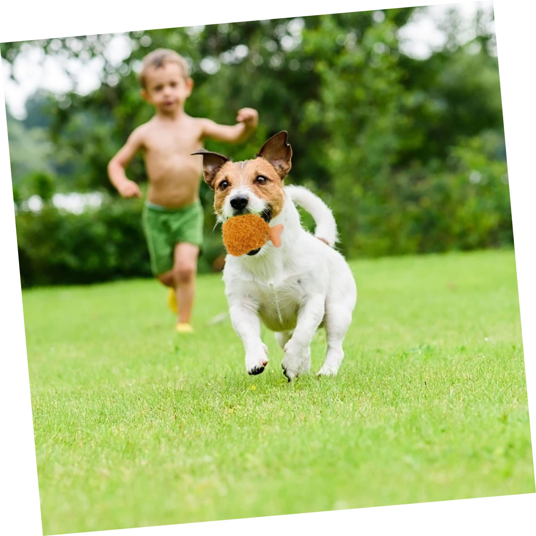 minkissy 3sets Plüsch Quietschende Hundespielzeug Lebensmittel Form Simulation Weiche Haustier Spielzeug Für Hunde 3 Stücke * 3