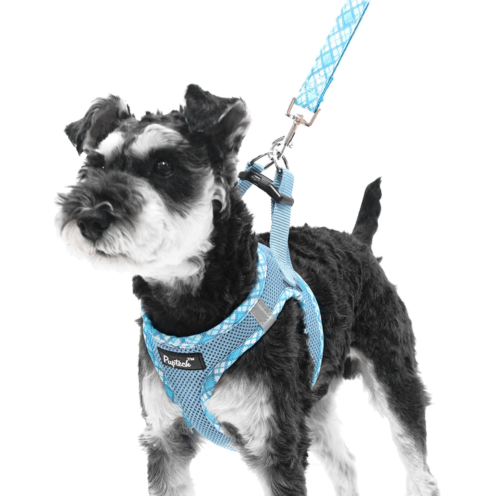 PUPTECK Step-in Dog Harness Small Dog No Pull Vest and Lead Set for Puppy Cats Outdoor Walking Light Blue S