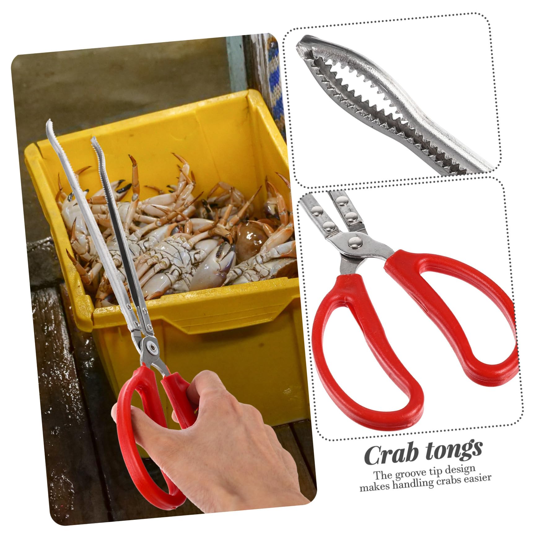 Longues Pinces à Crabe Portables en Acier Inoxydable et Abs Antidérapantes