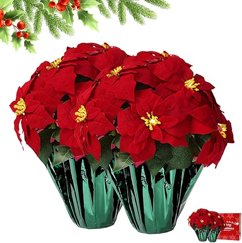 Miniatura 1 de Paquete de 2 plantas de Pascua artificiales grandes de 18 pulgadas para decoración de Navidad preiluminadas por LED, flores de Pascua artificiales