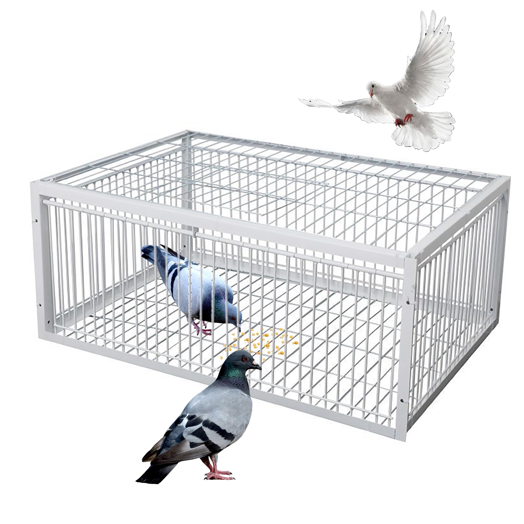 Jaula De Pájaros Trampa, Trampa de Animales Vivos con 4 entradas, Jaula Trampa Pajaros con Entrada unidireccional, Trampa para Palomas con Diseño A Prueba De Escape(Blanco,40x30x26cm)