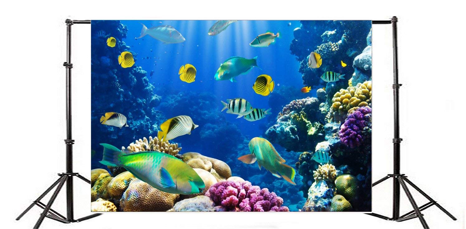 【新品未開封】カラーフィールド　色の海を泳ぐ オーシャン バイ ネイキッド 光の深海展」日本初上陸、極彩色の深海の