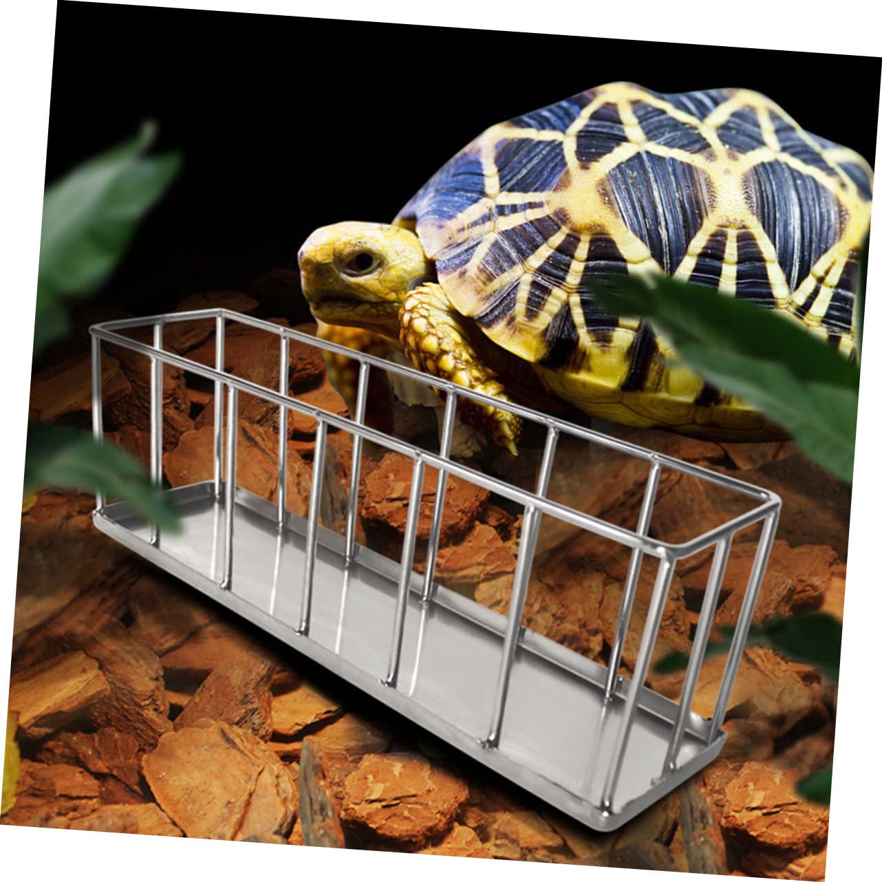 Milisten Mangiatoia per Rettili in Acciaio Inox, Piatto Alimentare | Argento, Superficie Liscia, per Cibo e Acqua, Uso Sicuro per Animali Domestici