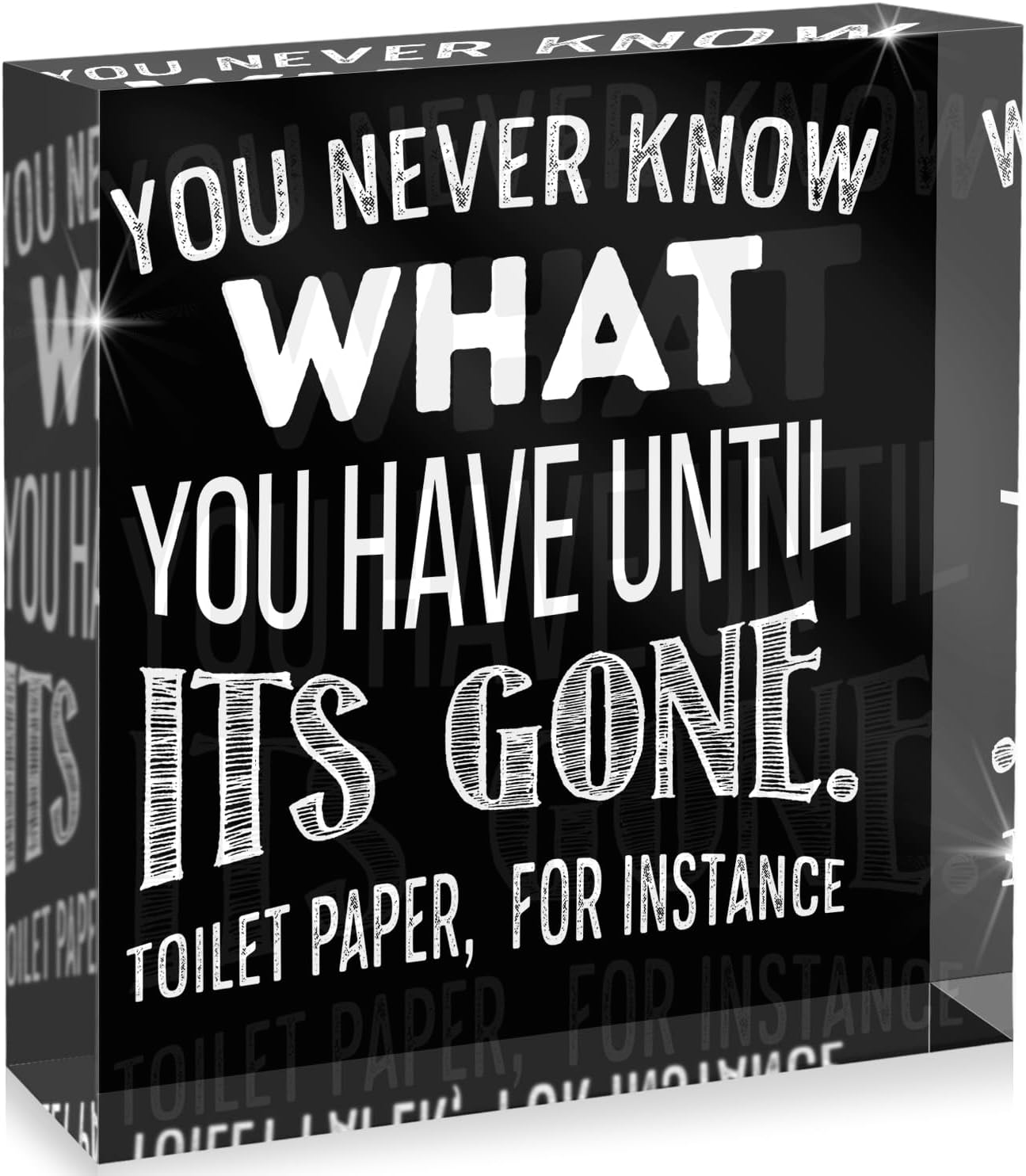 You Never Know What You Have Until is Gone Toilet Paper for, Shelf Home, Bathroom Decor Sign, Acrylic Box Sign, 4x4 Made in The USA